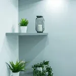 Benvenuti Al Sud * ナポリ